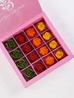 Sunlight Gallery - Image 3